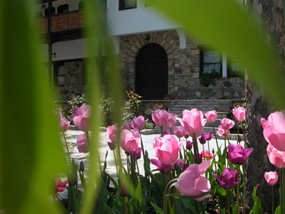 Springtime